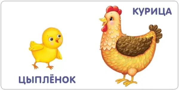 Малыши и мамы. Книжки-картонки