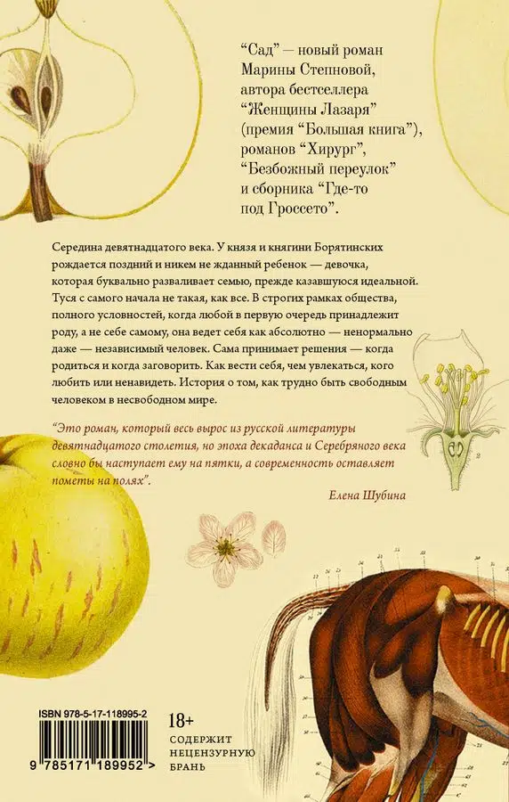 Марина Степнова: Сад
