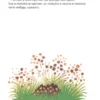 Милер Зденек: Кротик. Большая книга