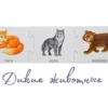 Мои первые развивающие пазлы