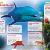 Моря и океаны. Детская энциклопедия