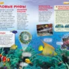 Моря и океаны. Детская энциклопедия