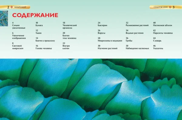 Микромир. Детская энциклопедия