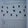 Начинаю считать. Для детей 4-5 лет