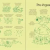 Эрхард Дитль: Огрики из Грязьбурга