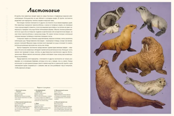 Океанариум