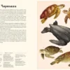 Океанариум