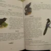 Первая после Букваря книга для чтения