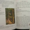 Первая после Букваря книга для чтения