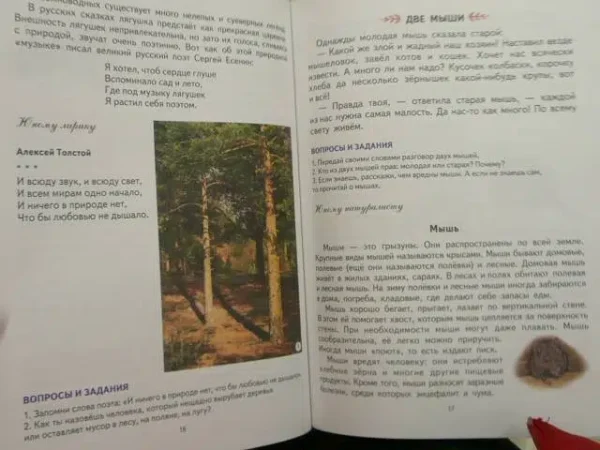 Первая после Букваря книга для чтения