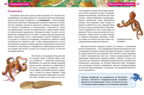 Подводный мир. Детская энциклопедия Росмен