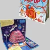 POP UP энциклопедия. Анатомия
