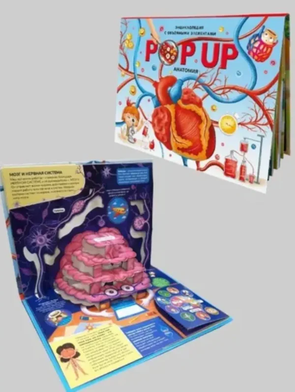 POP UP энциклопедия. Анатомия