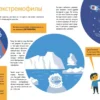Приключения Тима в мире бактерий