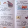 Рамзаева: Русский язык. 1 класс. Учебник