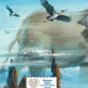 Редьярд Киплинг: Сказки (ил. В. Канивца)