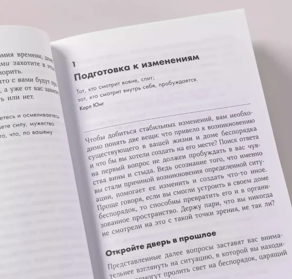 Реджина Лидс: Идеальный порядок за 8 минут