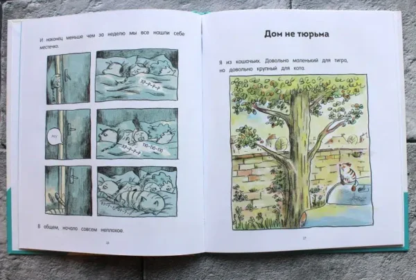 Ронан Бадель: Кот пончик. Дом кота