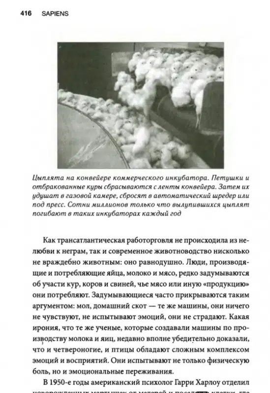 Sapiens. Краткая история человечества (мяг. обл.)