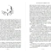Сара Дж. Маас: Королевство шипов и роз