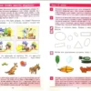 Считаю до 10. Рабочая тетрадь. 4-5 лет