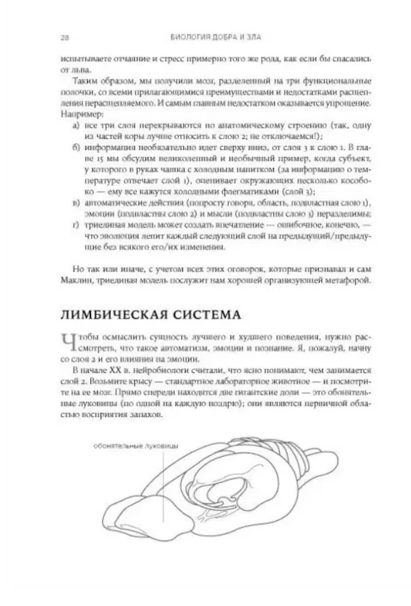 Роберт Сапольски: Биология добра и зла. Как наука объясняет наши поступки