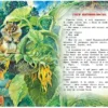 Виталий Бианки: Большая книга рассказов