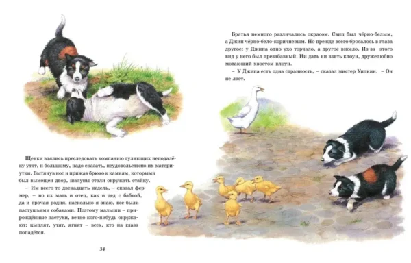 Джеймс Хэрриот: Детям. Рассказы о животных