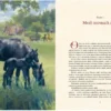 Анна Сьюэлл: Черный Красавчик