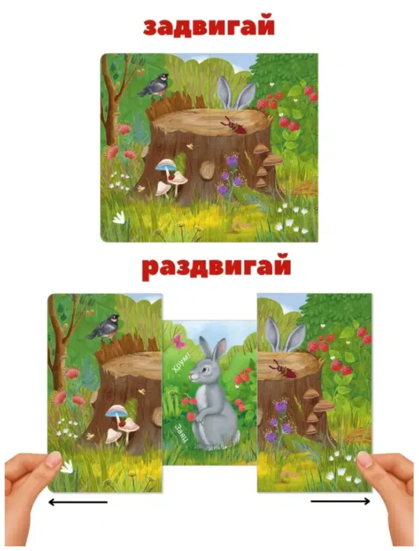 Кто там спрятался? Книжки - задвижки