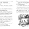 Клайв Льюис: Хроники Нарнии