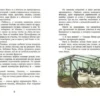 Ольга Лукас: У кошек всегда каникулы