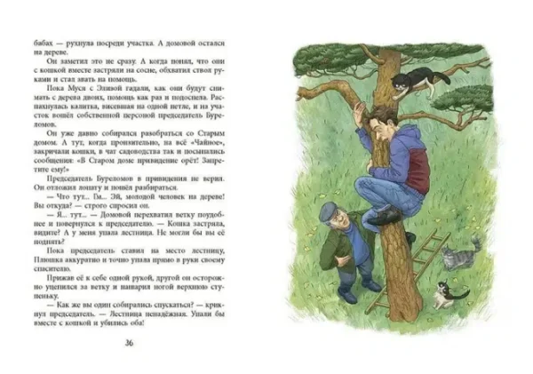 Ольга Лукас: У кошек всегда каникулы
