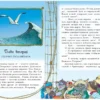 Амасова, Запаренко: Пираты Кошачьего моря. Книга 2. Остров забытых сокровищ