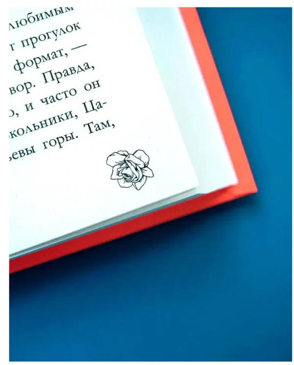 Анна Джейн: Поклонник (Trendbookslove)