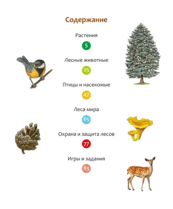 Жизнь леса. Энциклопедия