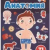 Анатомия. Играй и приклеивай