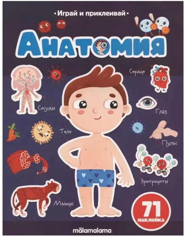 Анатомия. Играй и приклеивай