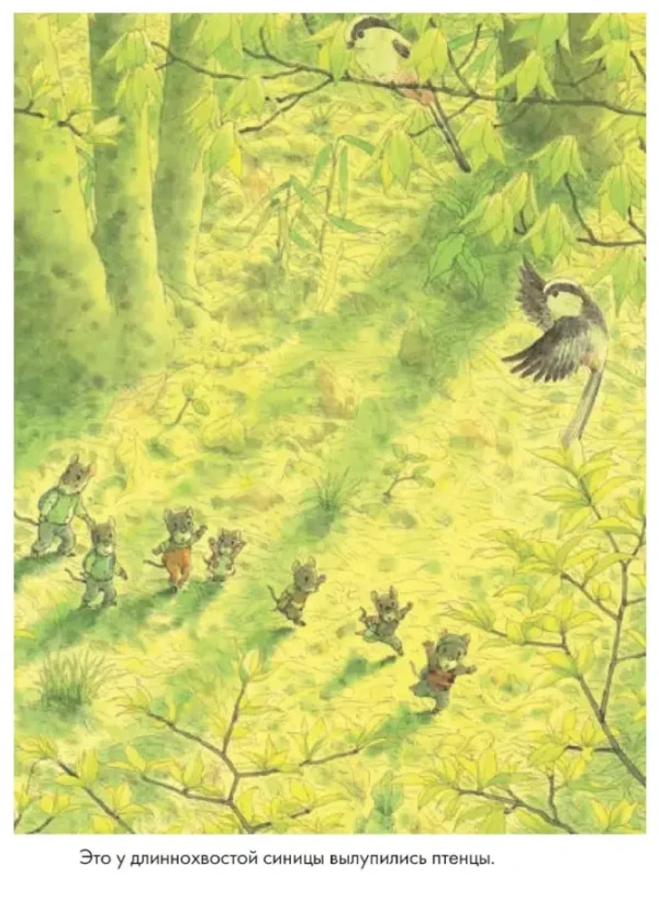 Кадзуо Ивамура: 14 лесных мышей. Пикник (мини)