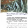 Александра Ермичёва: Камни, минералы и металлы. Детская энциклопедия. Чевостик (мягкая обложка)