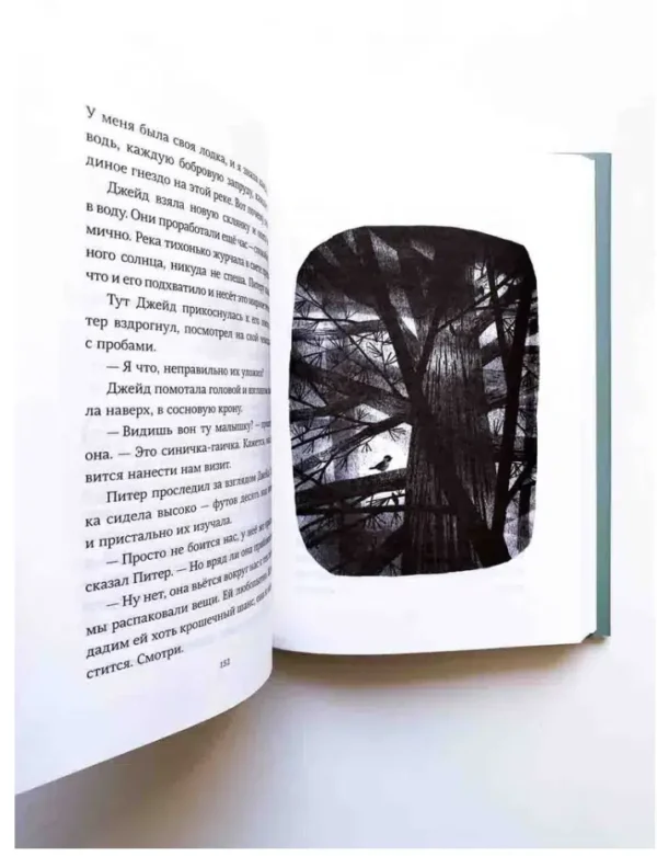 Сара Пеннипакер: Пакс. Дорога домой