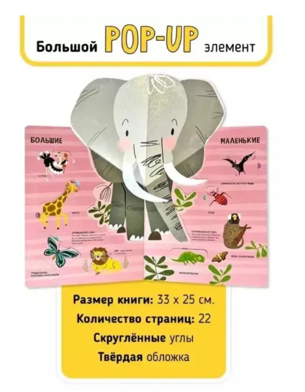 Животные. Мои первые открытия