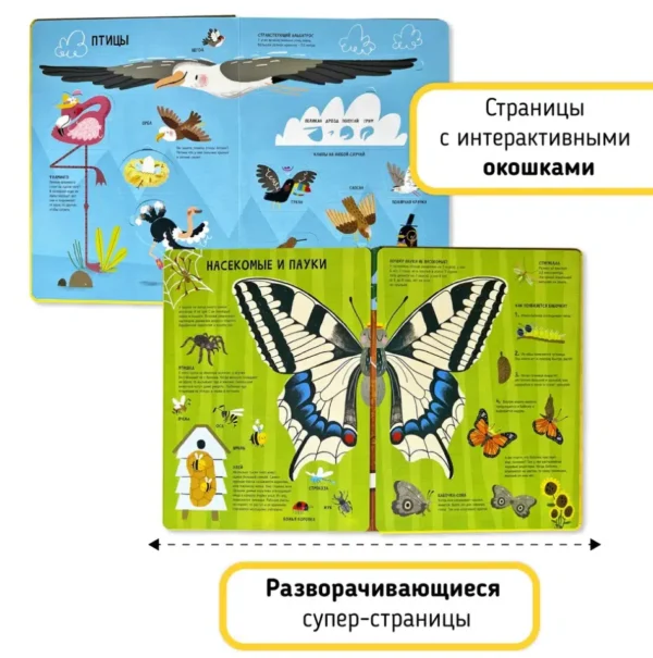 Животные. Мои первые открытия