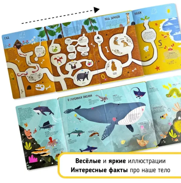 Животные. Мои первые открытия