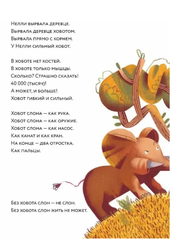 Марина Аромштам: Слоны идут! Уровень II