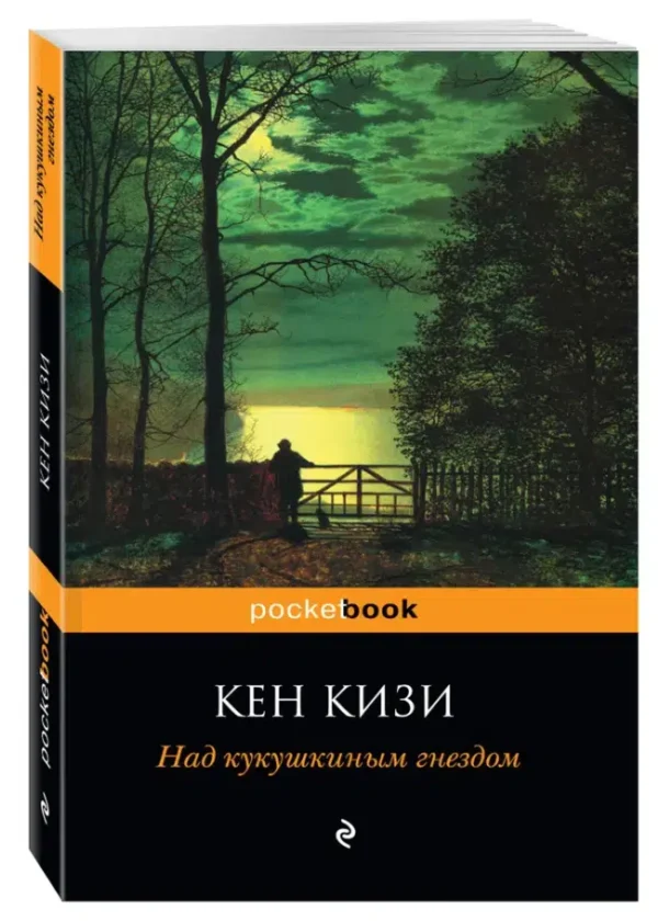 Кен Кизи: Над кукушкиным гнездом (PocketBook)