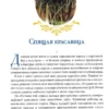 Шарль Перро: Самые красивые сказки (Илл. Н. Илларионова)