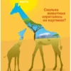 Я МОГУ запоминать! 4-5 лет