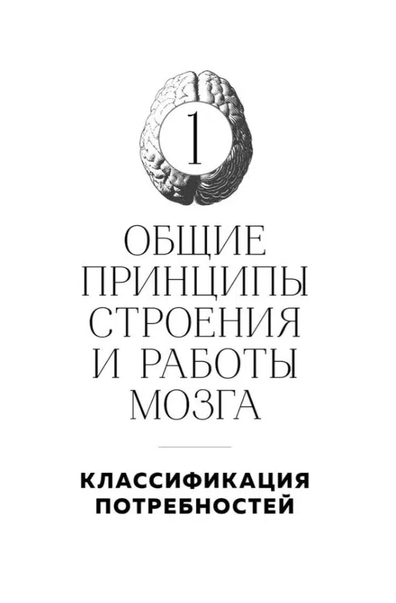 Вячеслав Дубынин: Мозг и его потребности 2.0. От питания до признания