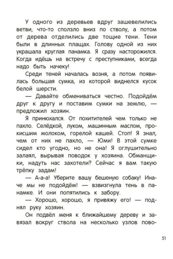 Майя Лазаренская: Сыскное бюро Брюм. Пропажа в Скучном парке